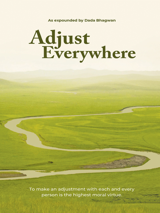 Cover image for Adjust Everywhere